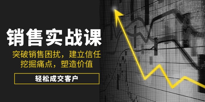 销售实战课，突破销售困扰，建立信任，挖掘痛点，塑造价值，轻松成交客户-天韵资源网