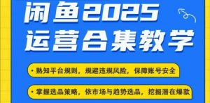 2025闲鱼电商运营全集，2025最新咸鱼玩法-天韵资源网