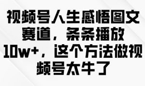 视频号人生感悟图文赛道，条条播放10w+，这个方法做视频号太牛了-天韵资源网