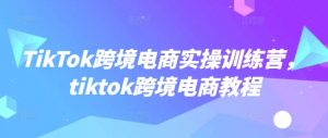 TikTok跨境电商实操训练营，tiktok跨境电商教程-天韵资源网