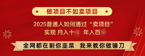 必看，做项目不如卖项目，2025普通人如何通过“卖项目”实现月入十个，年入百个-天韵资源网