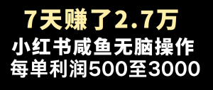 全网首发，7天赚了2.6万，2025利润超级高！-天韵资源网