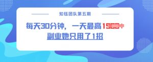 副业她只用了1招，每天30分钟，无脑二创，一天最高1.5k-天韵资源网