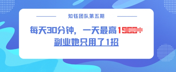 副业她只用了1招，每天30分钟，无脑二创，一天最高1.5k-天韵资源网