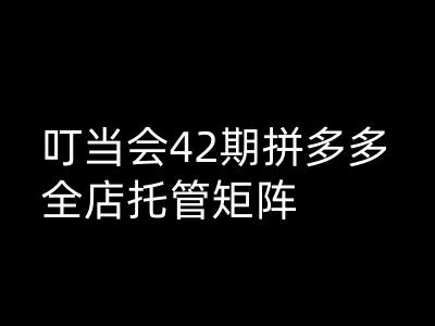 叮当会拼多多打爆班原创高阶技术第42期，拼多多全店托管矩阵-天韵资源网