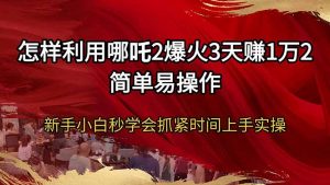 怎样利用哪吒2爆火3天赚1万2简单易操作新手小白秒学会抓紧时间上手实操-天韵资源网
