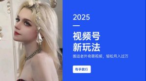 搬运老外奇葩视频，撸视频号分成计划收益，每天只需一小时，新手小白轻松月入过W-天韵资源网