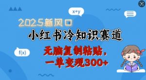 2025新风口,小红书冷知识赛道,无脑复制粘贴,一单变现300+-天韵资源网