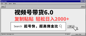 视频号带货6.0，轻松日入2000+，起号快，复制粘贴即可，超高佣金比-天韵资源网