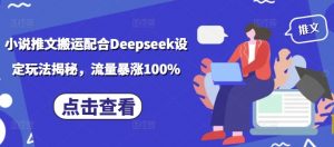 小说推文搬运配合Deepseek设定玩法揭秘，流量暴涨100%-天韵资源网