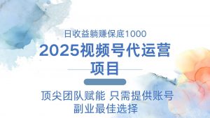 2025视频号代运营 日躺赚1000+ 只需提供账号-天韵资源网