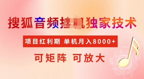 全网首发搜狐音频挂JI独家技术，项目红利期，可矩阵可放大，稳定月入8k【揭秘】-天韵资源网