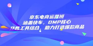 京东电商运营班：涵盖快车，DMP核心及各工具组合，助力打造爆款商品-天韵资源网