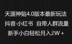 天涯神贴4.0版本最新玩法，抖音·小红书自带人群流量，新手小白轻松月入过W-天韵资源网