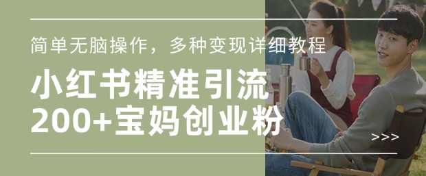 小红书混剪日引200+宝妈创业粉，简单无脑操作，多种变现详细教程-天韵资源网