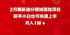 2月最新细分领域落地项目，新手小白也可快速上手，月入1W-天韵资源网