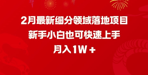 2月最新细分领域落地项目，新手小白也可快速上手，月入1W-天韵资源网