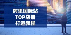 阿里国际站TOP店铺打造教程：涵盖平台到高阶，解决运营难题，提升询盘-天韵资源网