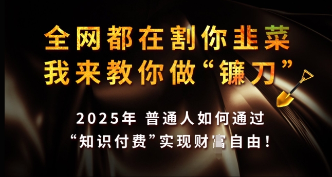 全网都在割你韭菜，我来教你做镰刀，2025年普通人如何通过 知识付费 实现财F自由【揭秘】-天韵资源网