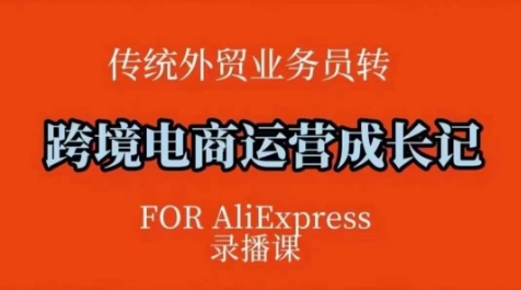 跨境电商速卖通运营课，​运营方法论+后台实操，逻辑清晰-天韵资源网