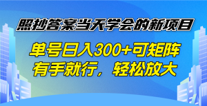 照抄答案当天学会的新项目，单号日入300 +可矩阵，有手就行，轻松放大-天韵资源网