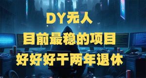 DY无人，目前最稳的项目，矩阵放大边旅游边赚钱，好好好干两年退休-天韵资源网