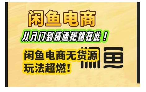 闲鱼电商实战课，从入门到精通秘籍在此，闲鱼电商无货源玩法超燃!-天韵资源网