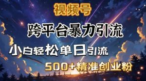 跨平台暴力引流,私域完美闭环,日引500+精准创业粉-天韵资源网
