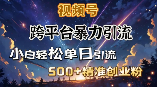 跨平台暴力引流，私域完美闭环，日引500+精准创业粉-天韵资源网