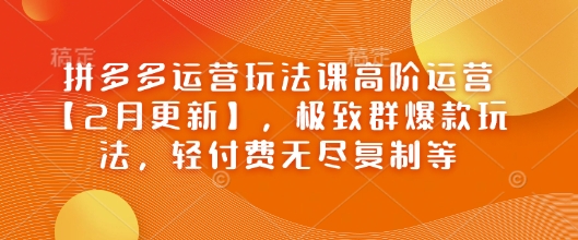拼多多运营玩法课高阶运营【2月更新】，极致群爆款玩法，轻付费无尽复制等-天韵资源网