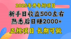 2025开年好项目,单号日收益2000左右-天韵资源网