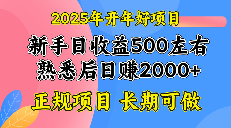 2025开年好项目，单号日收益2000左右-天韵资源网