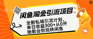 闲鱼淘金私域引流计划,从0开始玩转闲鱼,副业也可以挣到全职的工资-天韵资源网