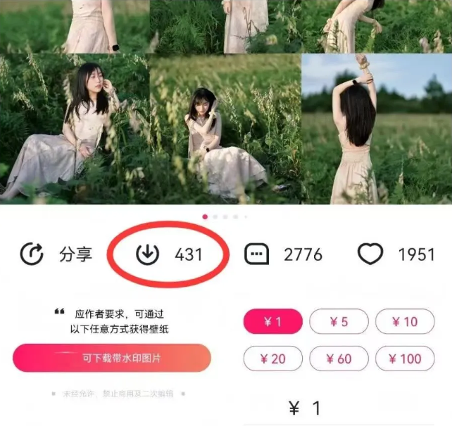 最新图虫搬运项目，收益无上限，利用AI小白也可日赚500+-天韵资源网