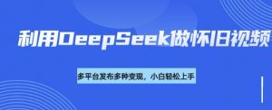 利用DeepSeek做怀旧视频，流量号多渠道变现能力强-天韵资源网