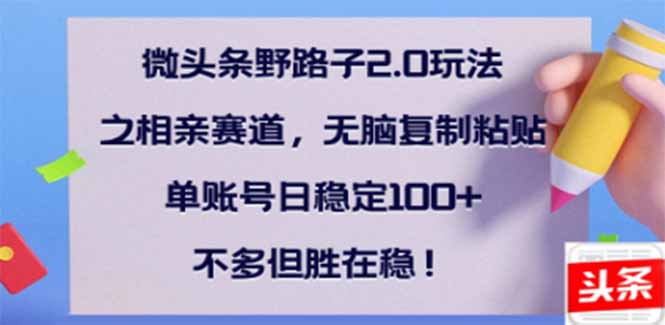 微头条野路子2.0玩法之相亲赛道，无脑搬砖复制粘贴，单账号日稳定300+…-天韵资源网