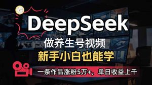 小白用DeepSeek做养生号，一条作品涨粉5万+，单日收益上千-天韵资源网