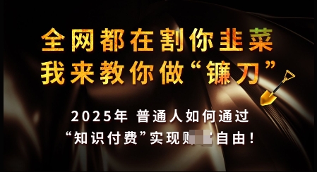 知识付费如何做到月入过W+，2025我来教你做“镰刀”【揭秘】-天韵资源网