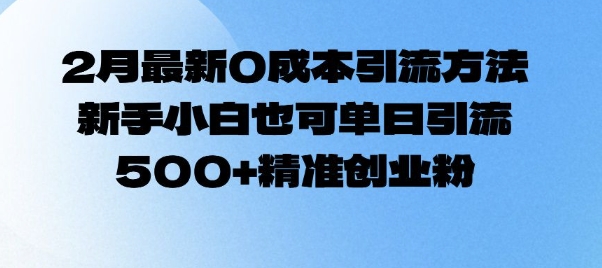 2月最新0成本引流方法，新手小白也可单日引流500+精准创业粉-天韵资源网