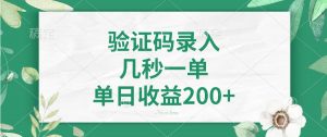 验证码录入,几秒一单,单日收益200+-天韵资源网