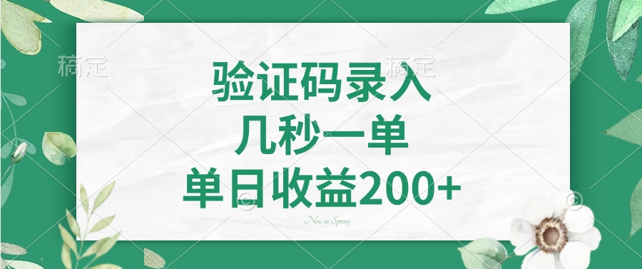验证码录入，几秒一单，单日收益200+-天韵资源网
