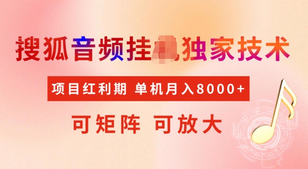 首发搜狐音频挂JI，项目红利期，可矩阵可放大，稳定月入5k【揭秘】-天韵资源网