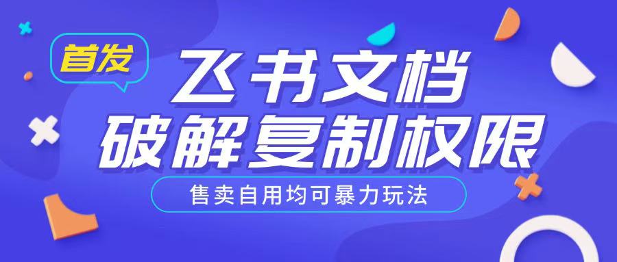 首发飞书文档破解复制权限，售卖自用均可暴力玩法-天韵资源网