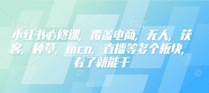 小红书必修课,覆盖电商,无人,获客,种草,mcn,直播等多个板块,看了就能干-天韵资源网