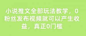小说推文全部玩法教学,0粉丝发布视频就可以产生收益,真正0门槛-天韵资源网