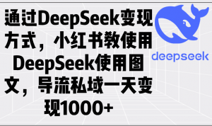 通过DeepSeek变现方式，小红书教使用DeepSeek图文，导流私域一天变现1000+-天韵资源网