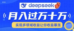 用DeepSeek席卷各大平台，快速上手实现多领域，让你收入猛增-天韵资源网