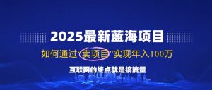 2025最新蓝海项目，零门槛轻松复制，月入10万+，新手也能操作！-天韵资源网