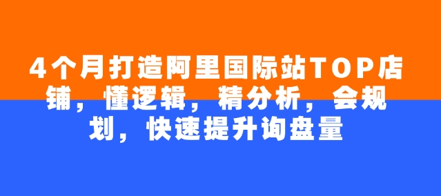 4个月打造阿里国际站TOP店铺，懂逻辑，精分析，会规划，快速提升询盘量-天韵资源网