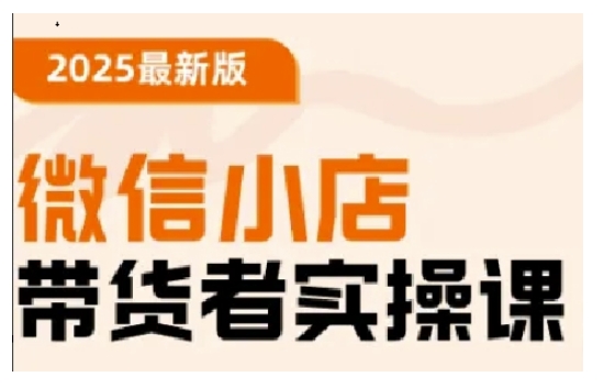 2025最新版微信小店带货者实操课，基础操作到高级运营技巧，快速上手-天韵资源网